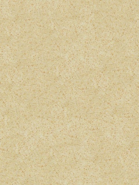 Belka B1 - Tapeta Creme, Nowoczesna Aranżacja Ścian