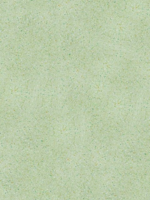 Belka B41 - Tapeta Jasnozielona, Nowoczesna Aranżacja Ścian